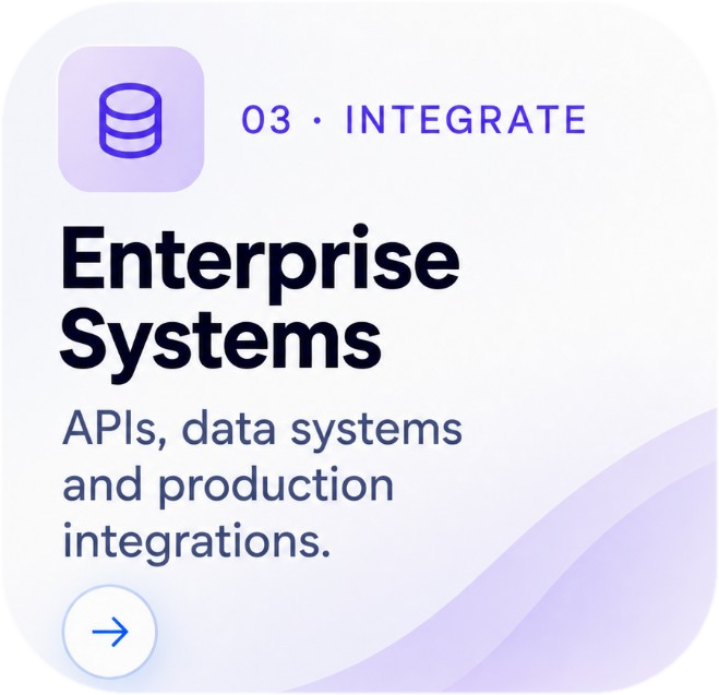 Enterprise Systems: APIs, data systems and production integrations